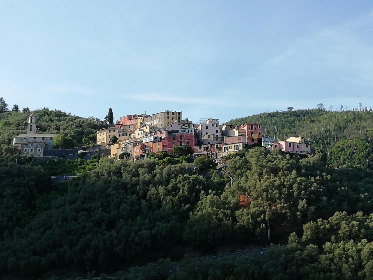 Casa Lorenzo Sulle Colline Di Levanto E Vicino Alle Cinqueterre Lt-0620 Екстер'єр фото